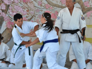 DBT Aikido, Sports, Activities